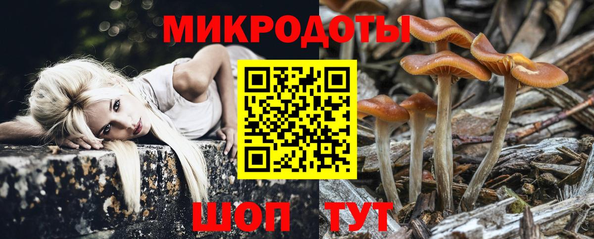 Псилоцибиновые грибы Cubensis  Вход с VPN  Аксай 